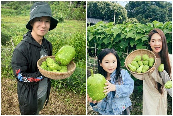 Mãn nhãn khu vườn trồng rau nuôi gà của Lý Hải - Minh Hà ở ngoại ô