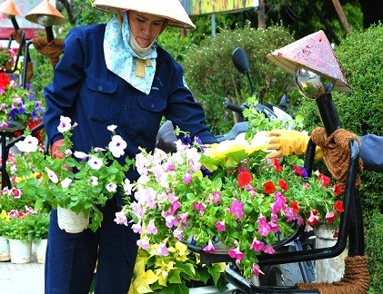 Ngất ngây "thưởng" trăm hoa khoe sắc chào Festival Đà Lạt