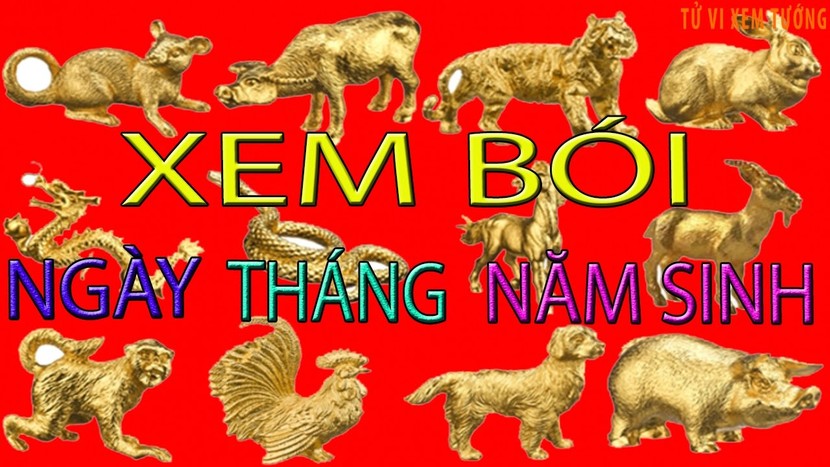 Xem bói tháng sinh âm lịch biết chính xác vận mệnh giàu nghèo sướng khổ 