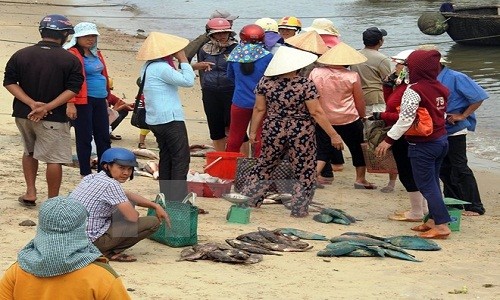 Vụ cá chết hàng loạt: Ngư dân ven biển thấp thỏm chờ kết luận