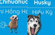 Cười ná thở với tên gọi những chú chó khi được Việt hoá 