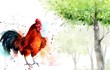 Điểm tên 3 con giáp may nhất tháng 6, lộc tràn vào cửa 
