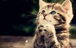 Từ 4/5, 3 tuổi Thần Tài phát lương, 'ngồi mát ăn bát vàng'