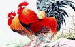 49 ngày tới, 3 tuổi đón đại vận, 1 tuổi gặp dữ hóa lành