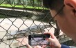 Nỗi lo cá sấu sổng chuồng ở công viên lớn nhất Nghệ An