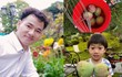 Mãn nhãn vườn cây trĩu quả trong “biệt phủ” của Xuân Bắc