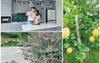 Hút mắt biệt thự trên núi ngập hoa cỏ của diễn viên Mạnh Trường