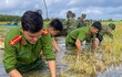 Hình ảnh chiến sĩ ngâm mình trong nước giúp dân cứu lúa