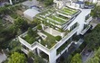 Ngắm vườn rau 300 m2 xanh mướt trên nóc biệt thự ở Hà Nội
