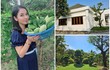 Nhà vườn 2.500m2 đẹp như resort của “đệ nhất mỹ nhân” Việt Trinh 