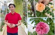 Vườn hồng ngoại “bung nở hết cỡ” trong nhà Khánh Thi - Phan Hiển 