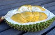 Giống sầu riêng mới đang tạo cơn sốt toàn châu Á đắt cỡ nào?