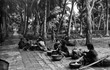 Ảnh cực hiếm về làng Dừa ở tỉnh Hà Đông thập niên 1920 (1)
