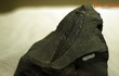 Cận cảnh dấu tích khu rừng cổ đại 23 triệu tuổi ở Yên Bái 