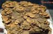 Cận cảnh phiến đá 400 triệu tuổi, lúc nhúc hóa thạch ở Hà Nội