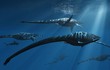 Rùng mình sinh vật khổng lồ có thật, nguyên mẫu quái vật hồ Loch Ness
