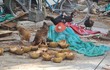 Đà Nẵng: Ngỡ ngàng cảnh nhếch nhác quanh khu danh thắng Ngũ Hành Sơn