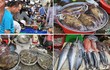Độc đáo chợ hải sản “bao ngon” chỉ họp vào buổi chiều