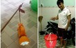 Đèn Trung thu “của nhà làm” độc lạ khiến netizen cười vỡ bụng