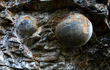  Kỳ lạ vách đá 'đẻ trứng' ở Trung Quốc, chuyên gia rối não