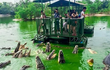 “Bí mật” đáng sợ trên hòn đảo nguy hiểm nhất hành tinh