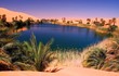 Mát mắt trước loạt ốc đảo xanh tuyệt đẹp giữa sa mạc 