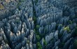 Mãn nhãn loạt khu rừng đá ngoạn mục nhất thế giới