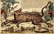 Bí ẩn rợn người về “ma sói” từng khiến dân Pháp mất ăn mất ngủ 