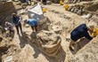 Khai quật nghĩa địa voi cổ đại, tìm thấy “quái thú” khổng lồ