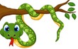 Dự đoán ngày mới 11/5/2025 cho 12 con giáp: Tỵ hòa đồng