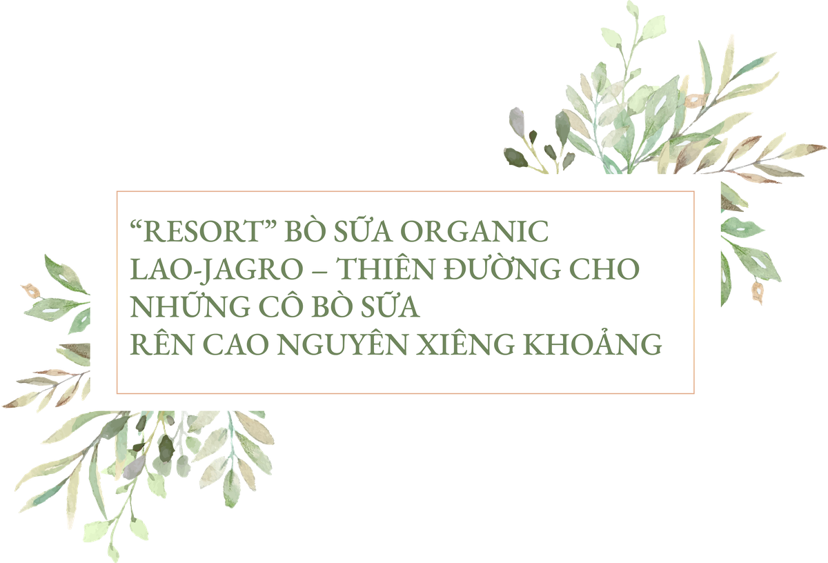 Dau tu 120 trieu USD - Vinamilk hop tac xay dung to hop “resort” bo sua Organic tai Lao-Hinh-3