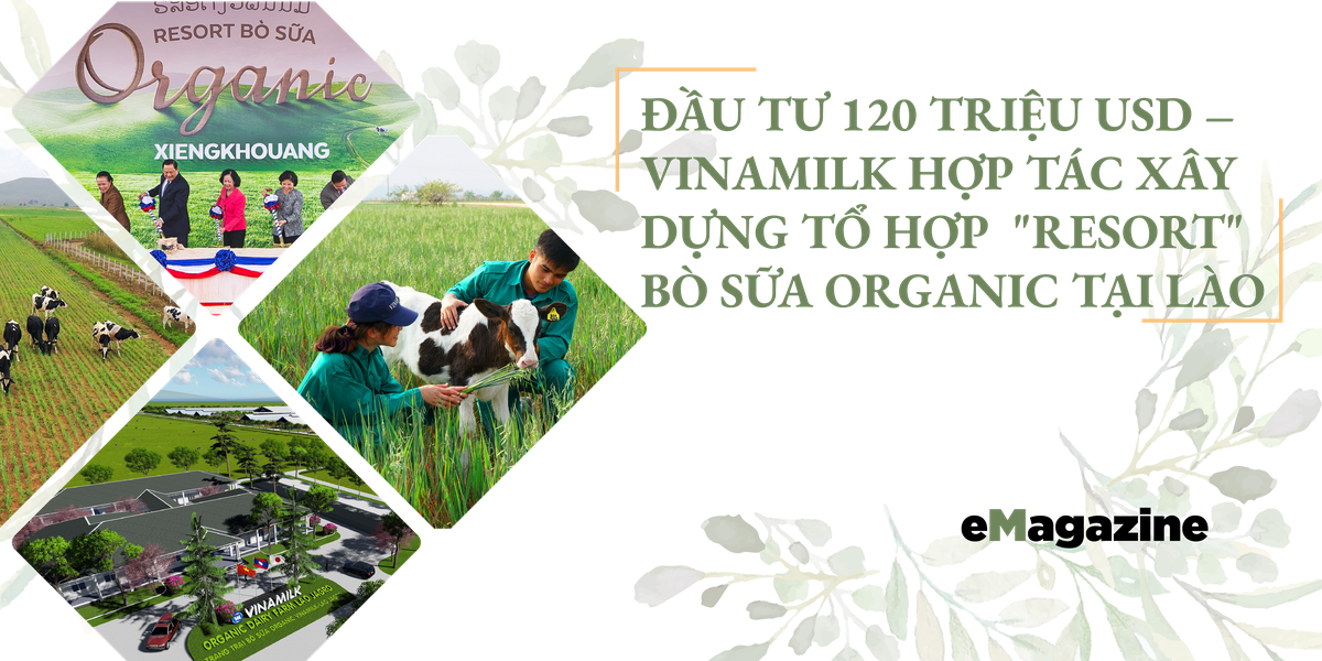 Dau tu 120 trieu USD - Vinamilk hop tac xay dung to hop “resort” bo sua Organic tai Lao