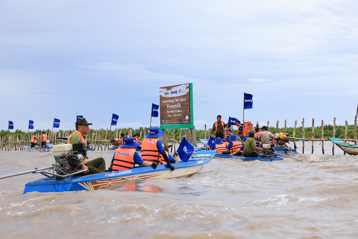 Doanh nghiep no luc phat trien be hap thu carbon, huong den Net Zero-Hinh-2