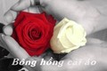 Hiểu sao cho đúng về “Bông hồng cài áo“ ngày lễ Vu Lan? 