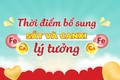 Thời điểm bổ sung sắt và canxi lý tưởng nhất cho cơ thể