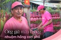 Độc lạ ông già màu hường ở Sài Gòn: Nhuộm hồng từ trong nhà ra ngoài phố, khẳng định “hồng nam tính”