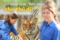 Người phụ nữ hơn 20 năm làm "bảo mẫu" cho thú dữ, có lúc phải mắc màn ngủ cạnh để chăm hổ ốm