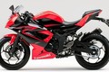 Môtô giá rẻ Kawasaki Ninja 250SL đổi diện mạo đẹp bất ngờ