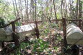 Hãi hùng đột nhập “rừng ma” của người Giẻ Triêng