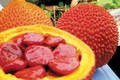 Tìm hiểu loại thực phẩm “siêu dinh dưỡng”