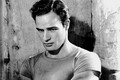 Lời nguyền khủng khiếp của gia tộc tài tử Marlon Brando