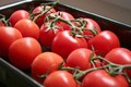4 cấm kị khi ăn cà chua