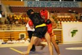 Giải vô địch Wushu Châu Á: Hứa hẹn sự bùng nổ