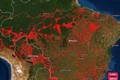 Cháy rừng Amazon khủng khiếp hơn cả vũ khí hủy diệt hàng loạt?