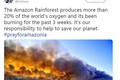 Loạt sao bị tố 'sống ảo' vì đăng nhầm ảnh về vụ cháy rừng Amazon