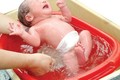 Thận trọng khi tắm nước sắc mướp đắng cho trẻ sơ sinh