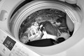Tại sao không giặt chung đồ lót trong máy giặt?