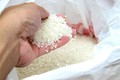 Nhận biết gạo bị ướp thuốc tạo mùi thơm