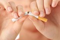 Chất độc nicotin trong thuốc lá có thể thấm qua da