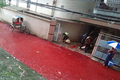 Cận cảnh “dòng sông máu” trên đường phố thủ đô Dhaka